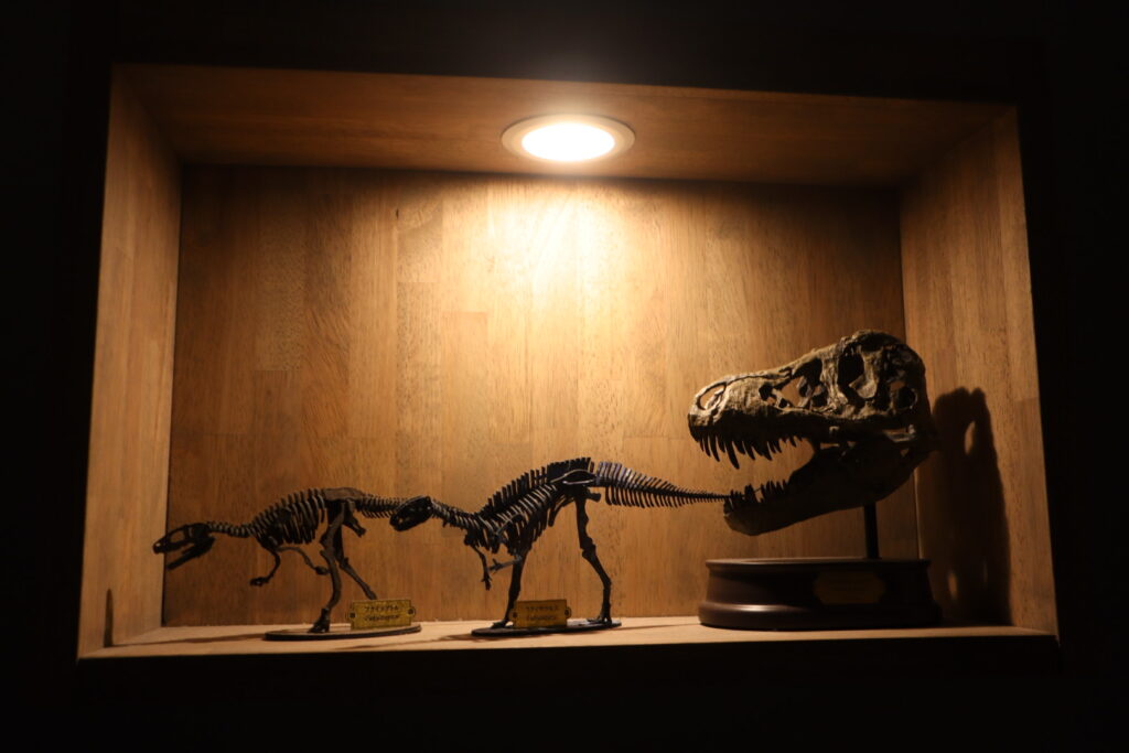 福井恐竜博物館と化石発掘体験。子連れ旅。